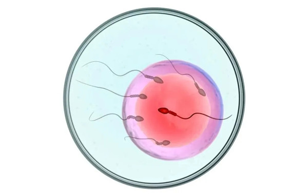 馨怡爱心捐卵公司招聘捐卵女孩加微【ivf0096】图集114