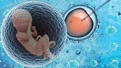 馨怡爱心捐卵公司招聘捐卵女孩加微【ivf0096】图集193