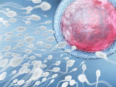 馨怡爱心捐卵公司招聘捐卵女孩加微【ivf0096】图集200