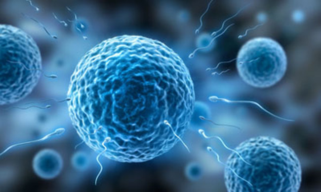 馨怡爱心捐卵公司招聘捐卵女孩加微【ivf0096】图集72