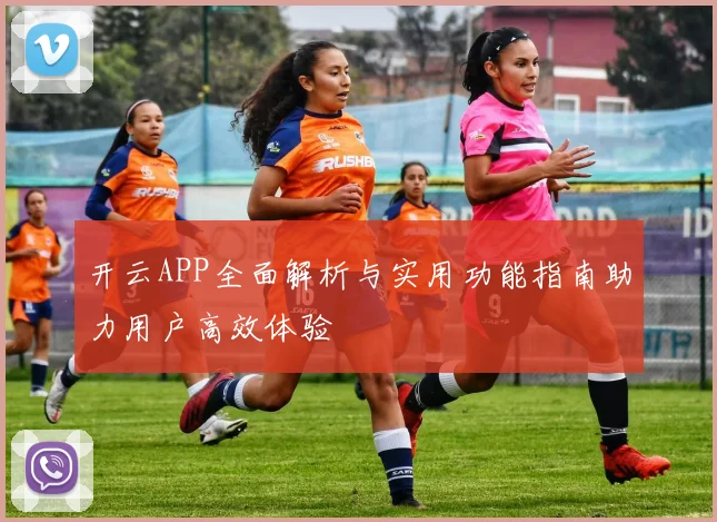 开云APP全面解析与实用功能指南助力用户高效体验